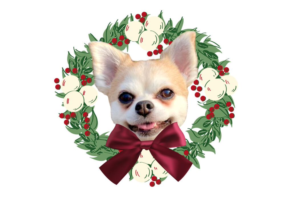 クリスマスリースになった愛犬の画像